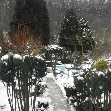 U Kaktusu Karlovy Vary